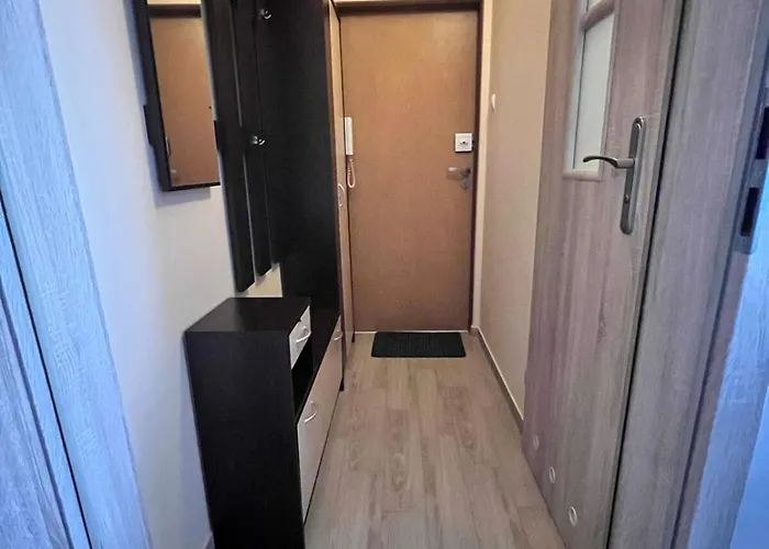 Skyview Serenity Apartment